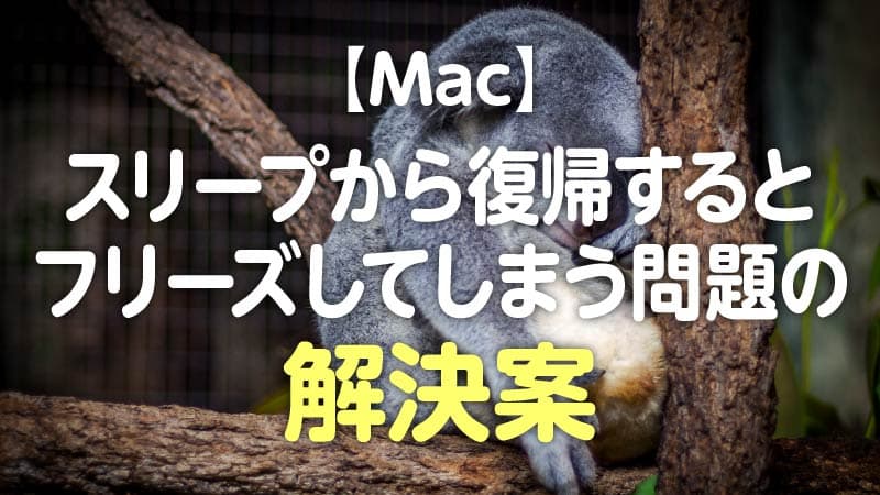 Mac スリープから復帰するとフリーズしてしまう問題の解決案 Tamoc