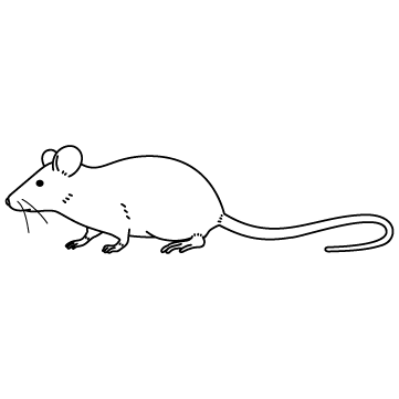 ライナストックのネズミを横から見た線画イラスト、シンプルな輪郭線タッチ