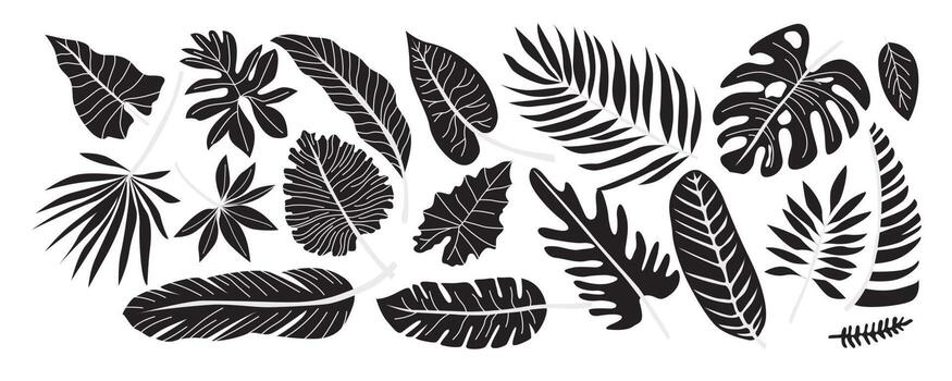 Vecteezyの熱帯植物の葉のシルエットイラスト集、モンステラやヤシなど多種類の葉を黒一色で収録