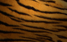 Mac OS X Tiger(10.4)の公式壁紙